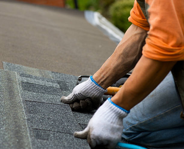 Quick and Trustworthy Emergency Roof Repair Services in Arlington Heights, IL